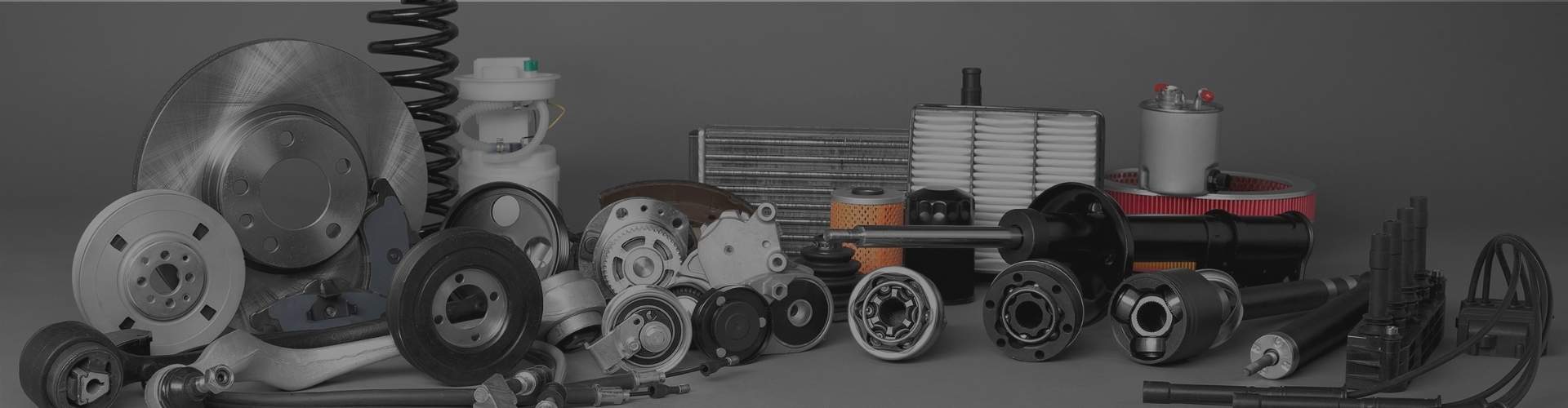 Professional auto parts supplier